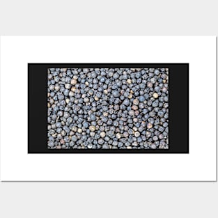 Black Pepper Corns Posters and Art